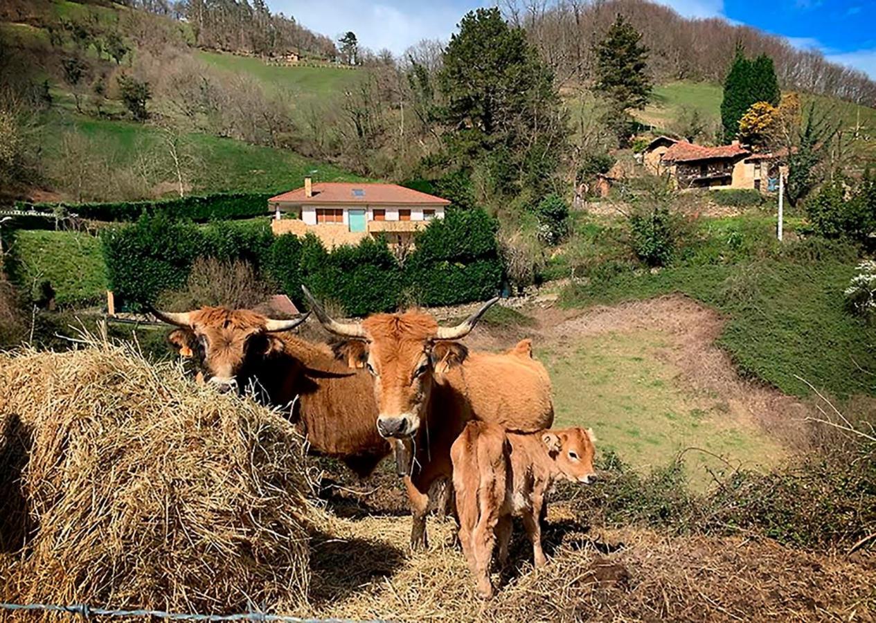 Loft 80 Mts En Un Entorno Natural. Mieres  Eksteriør bilde
