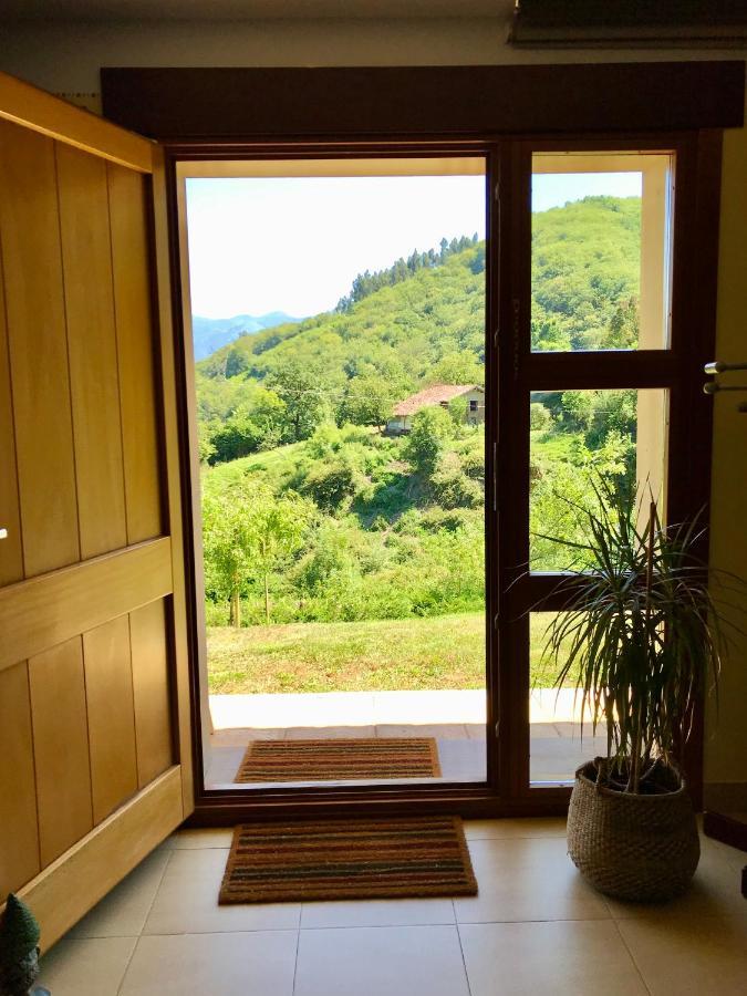Loft 80 Mts En Un Entorno Natural. Mieres  Eksteriør bilde