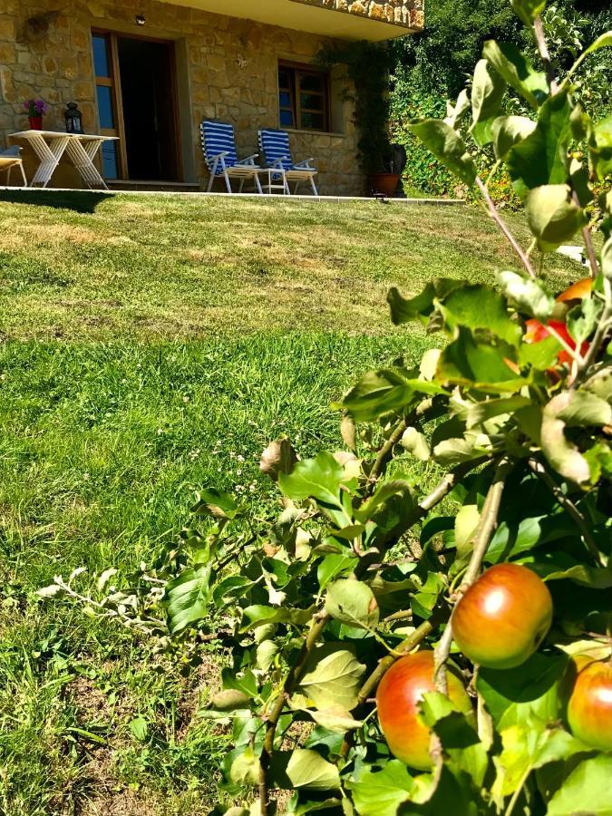 Loft 80 Mts En Un Entorno Natural. Mieres  Eksteriør bilde